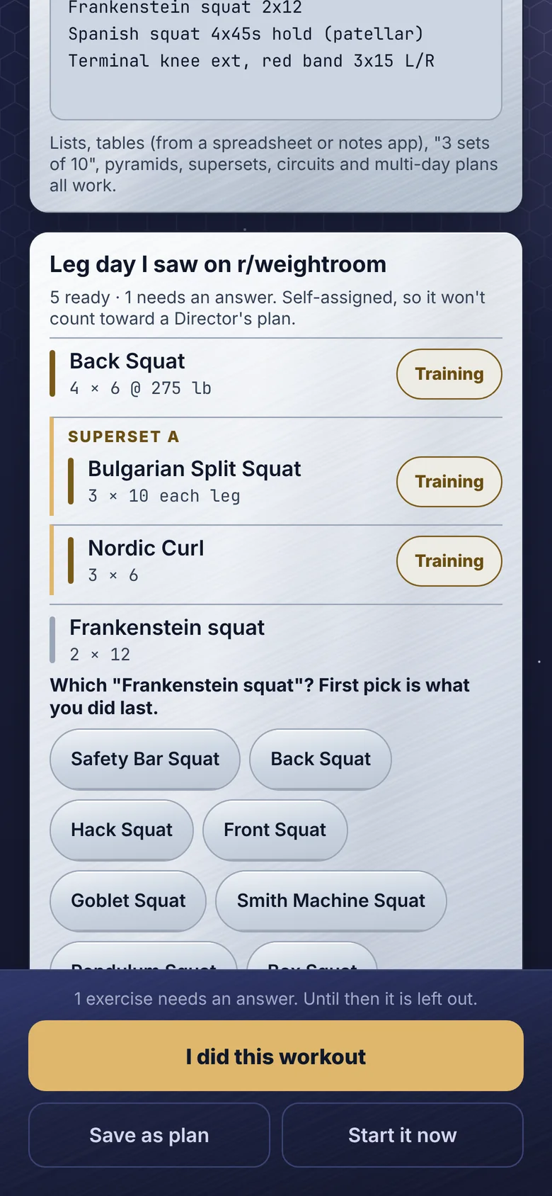 Stratum sorting a pasted workout into exercises, with one question about which squat